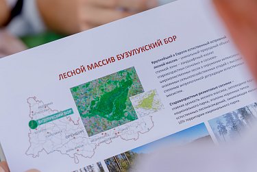 Бузулукский бор сегодня вне опасности